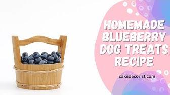 'Video thumbnail for Homemade Blueberry Dog Treats Recipe'