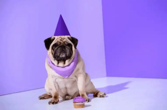'Video thumbnail for Best Dog Friendly Icing That Hardens Recipe'