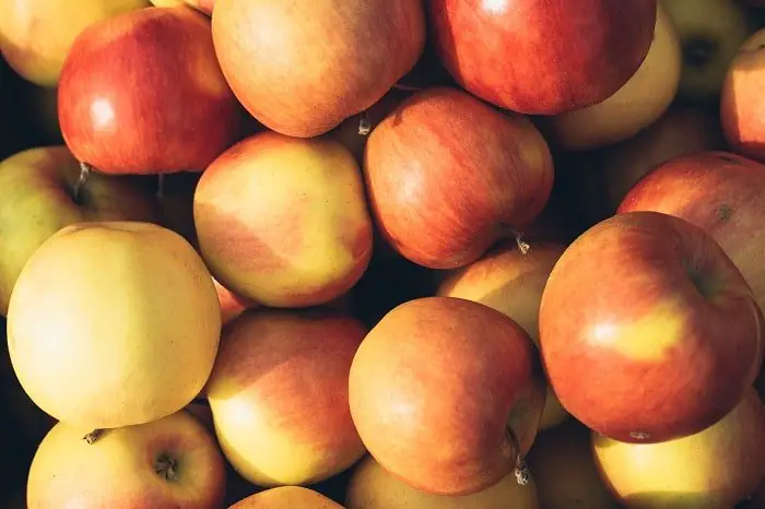 Best Apples for Apple Pie: Honey Crisps