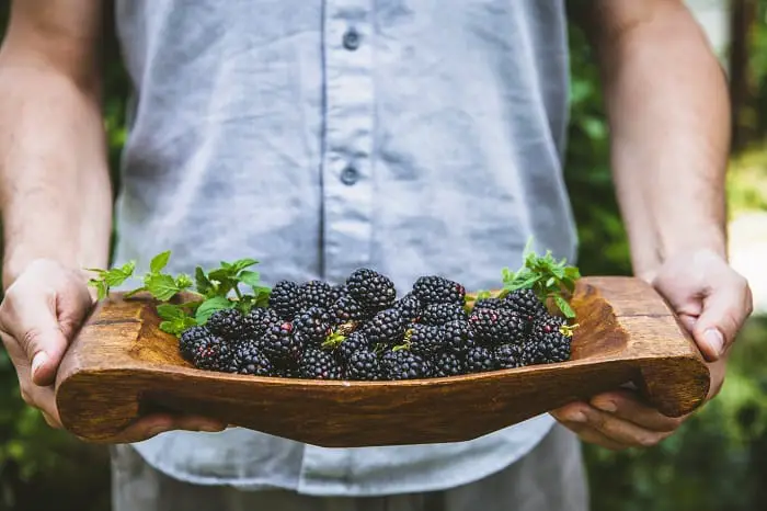 Using Blackberries in Cobblers