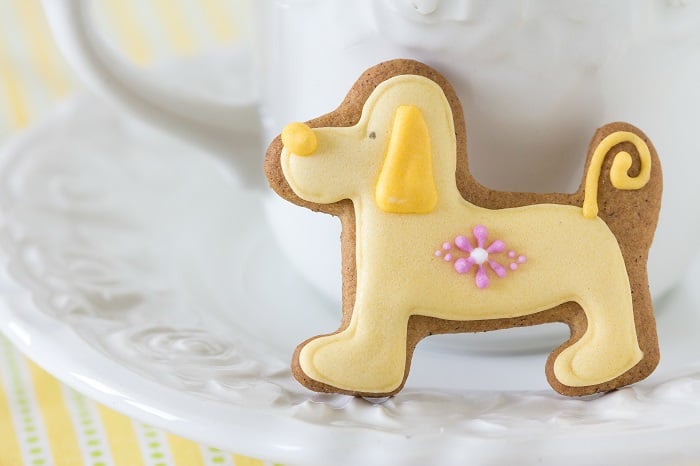 Best Icing For Dog Treats Recipe - Cake Decorist