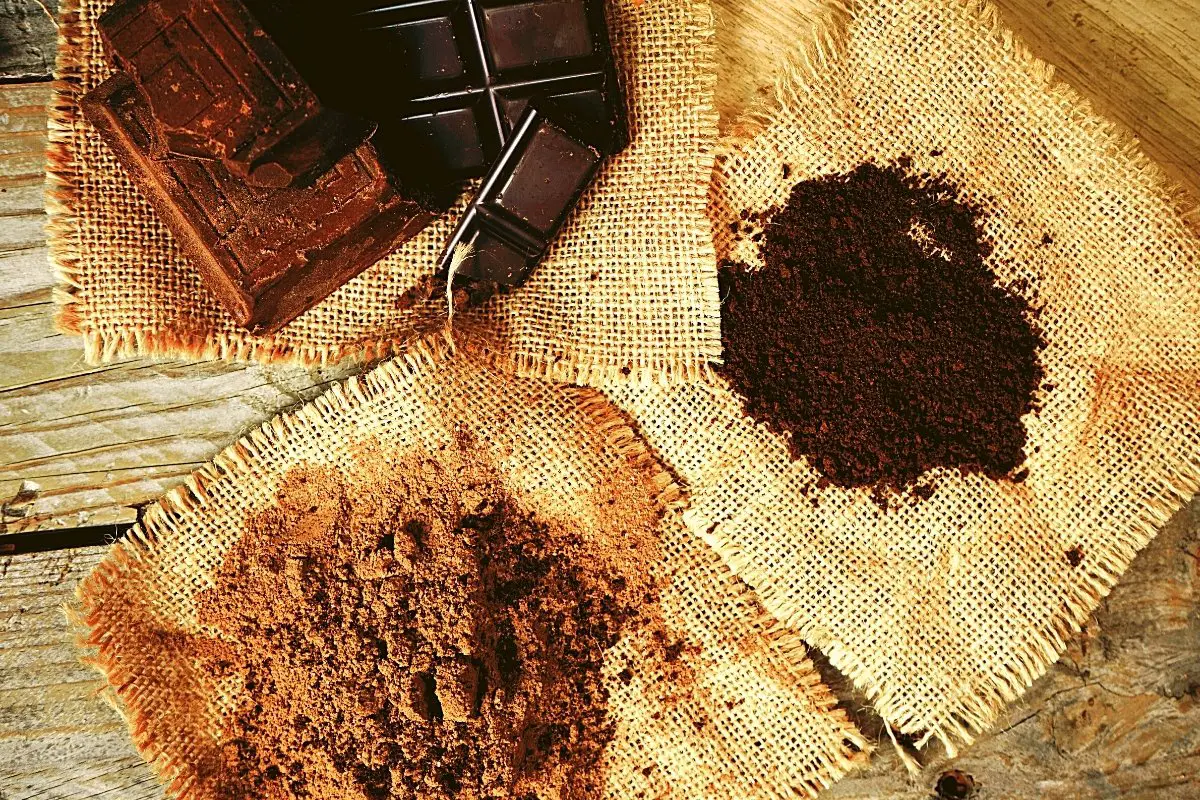 Dutch-process Cocoa Brands Explained