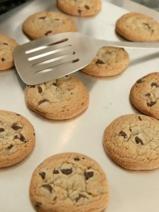 Can You Freeze Chocolate Chip Cookies? Cake Decorist