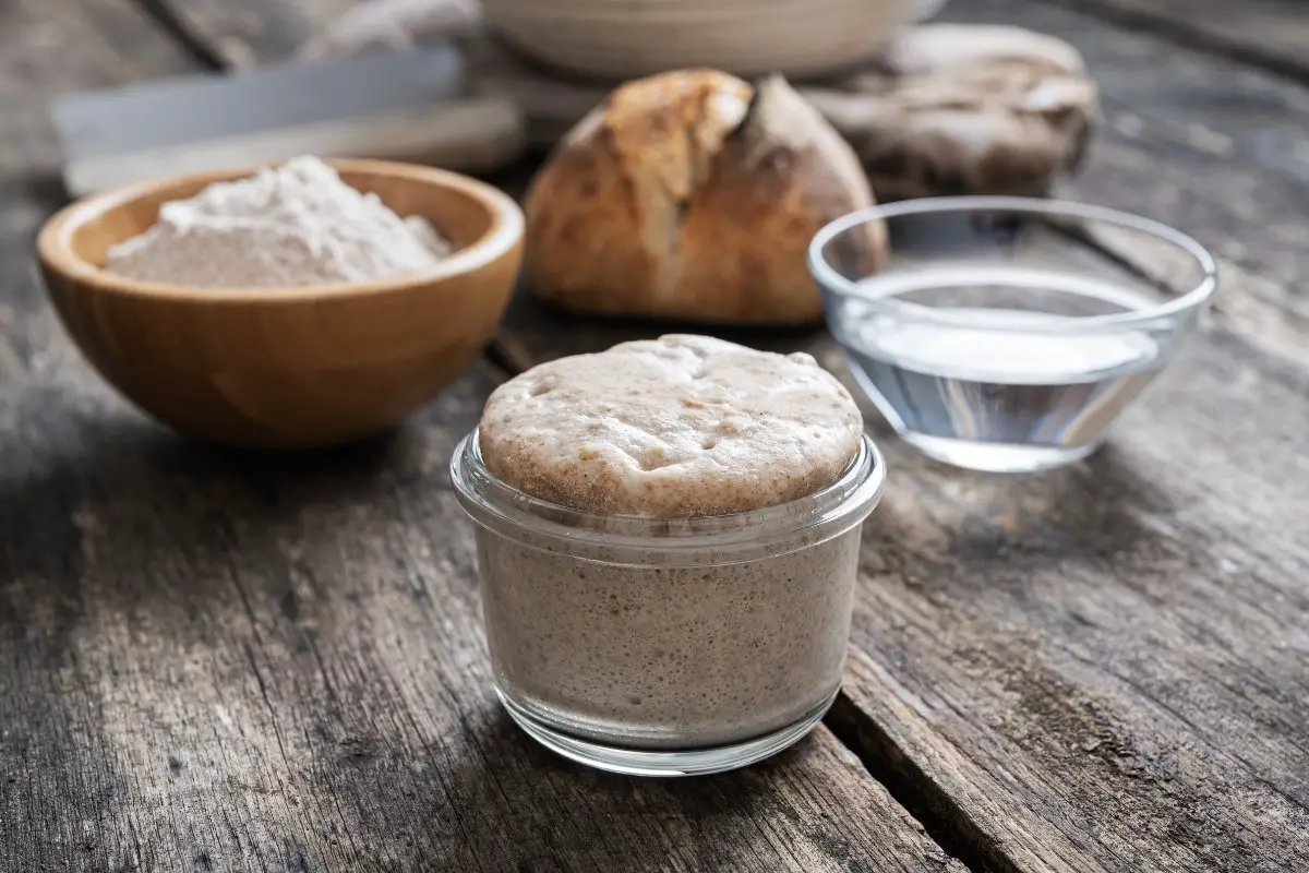 Can You Use Bleached Flour For Sourdough Starter
