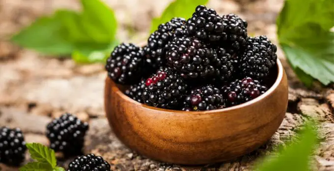 How To Tell If Blackberries Are Bad