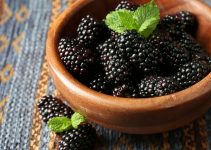 Should Blackberries Be Refrigerated