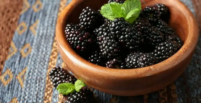 Should Blackberries Be Refrigerated