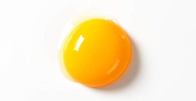 Egg Yolk Substitute For Custard