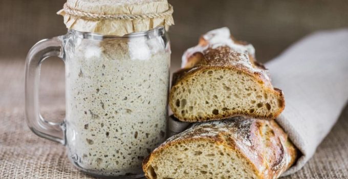How To Add Yeast To Sourdough Starter and Maintain It