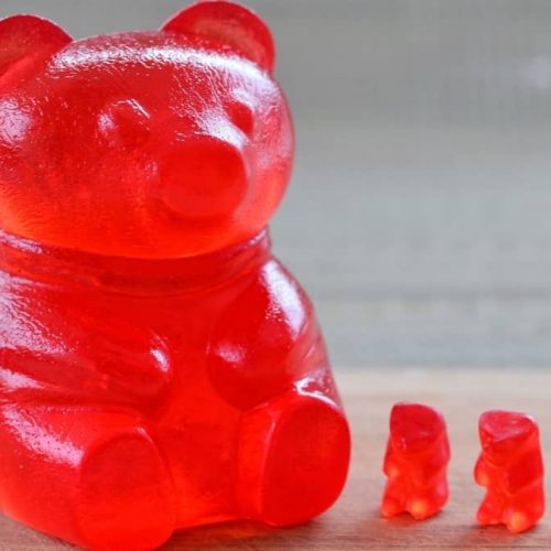 How to Make a Giant Gummy Bear and other Gummy Candy from Cookies Cupcakes  and Cardio 