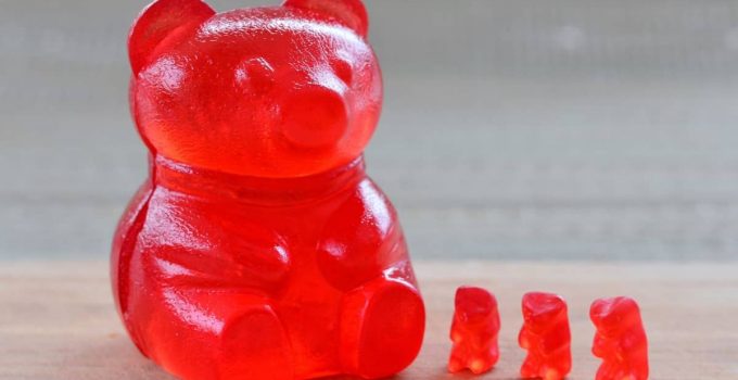 Jumbo Gummy Bear Gelatin Molds 4 Pack of Big Gummie Make Large Jello Bears 