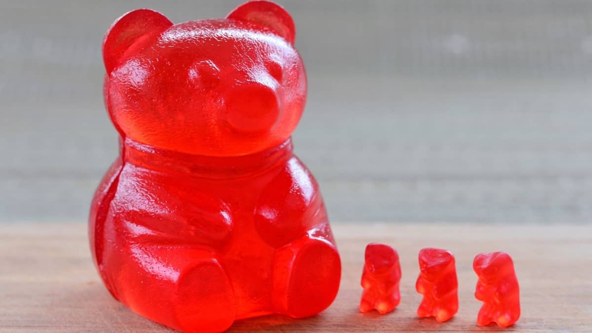 How To Make A Big Gummy Bear