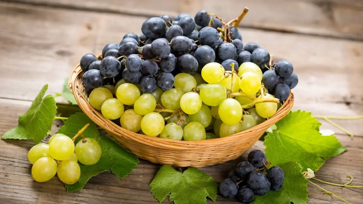 How To Make Grapes Last Longer