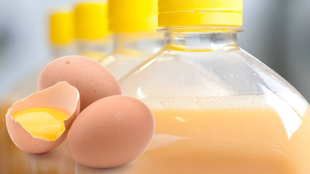 Liquid Eggs Vs Real Eggs
