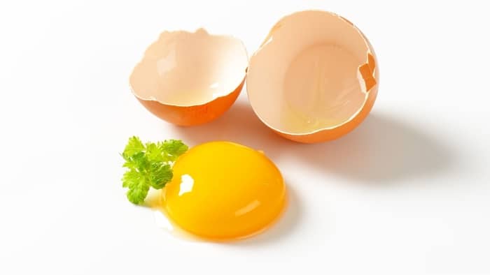 egg yolk replacement