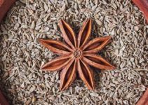 Anise Oil For Baking - What It Is and How It Works