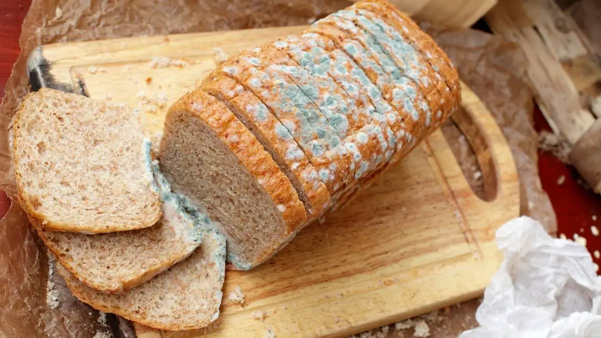 What Happens If You Eat Moldy Bread