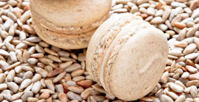 How To Make Macarons Without Almonds