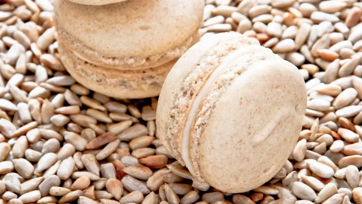 macaron recipe without almond flour