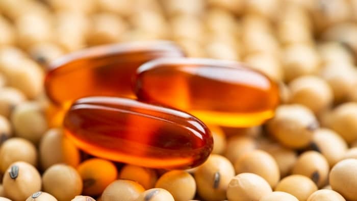 How can I get lecithin naturally