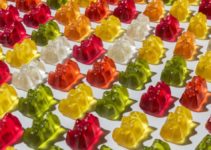 World's Best Gummy Bears