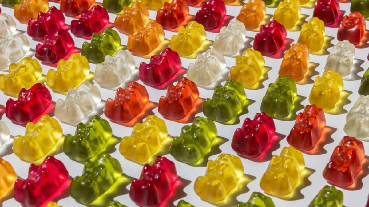 World's Best Gummy Bears