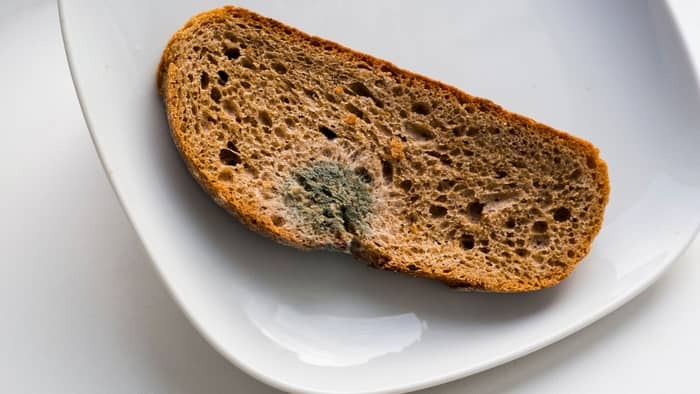 What happens if you eat moldy toast