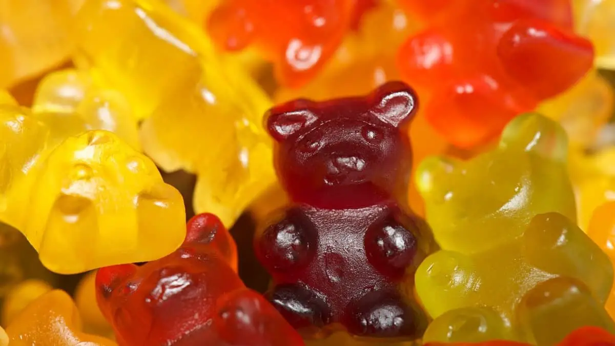 Moule Gummy Bear efficace de Michaels - avec recette d'une heure