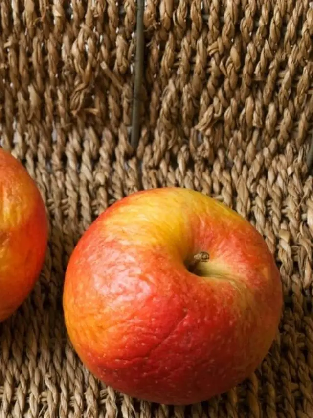 Put Mushy Apples To Good Use- Recipe Ideas