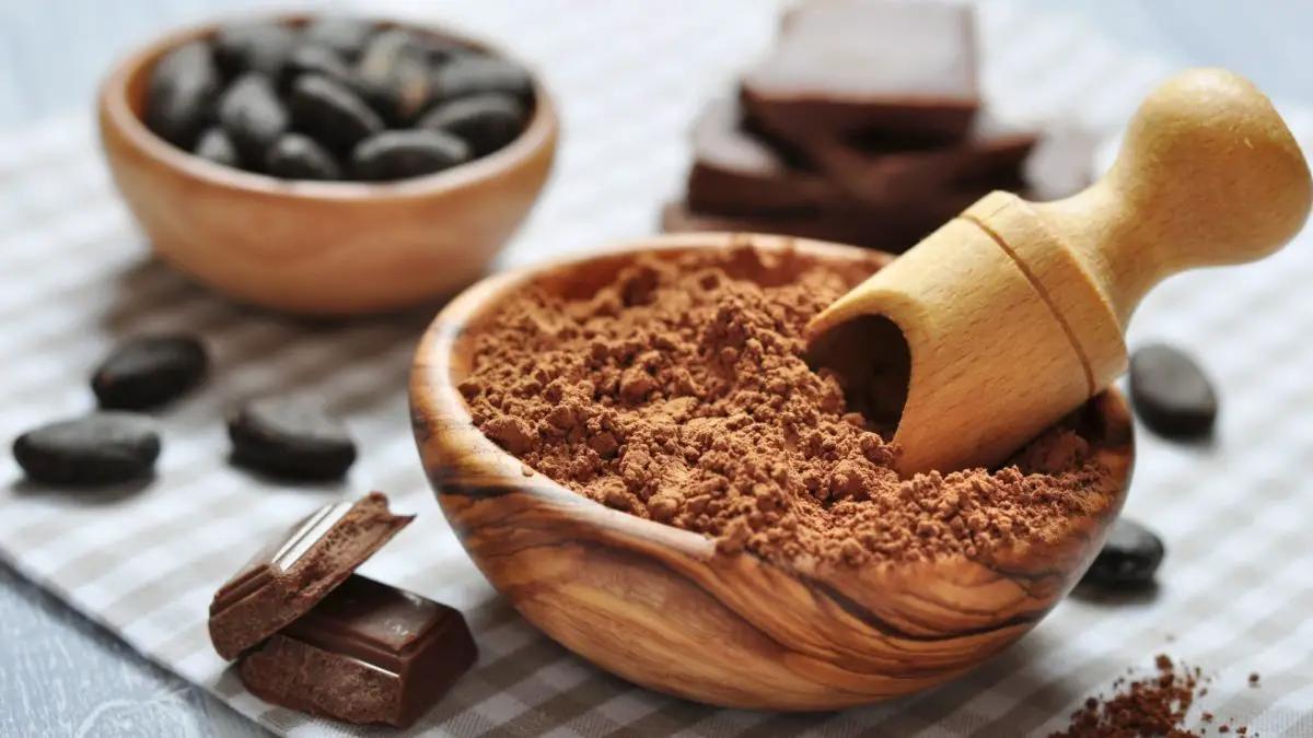The Ultimate 6 Substitutes For Cocoa Powder - Easy To Use