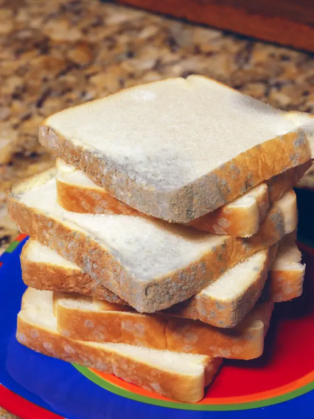 Moldy Bread? 2 Ways To Prevent Mold On Bread
