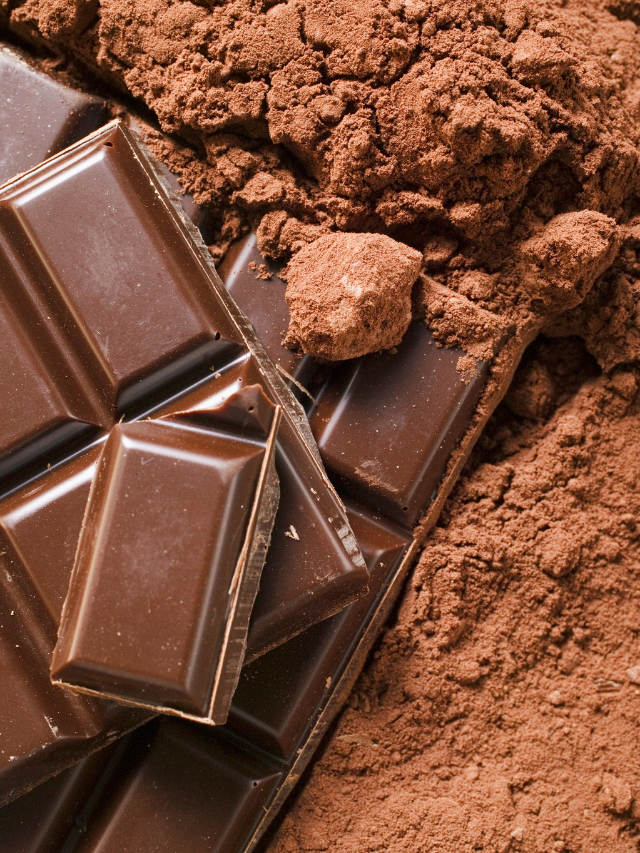 The 6 Most Common Substitutes for Cocoa Powder for Baking