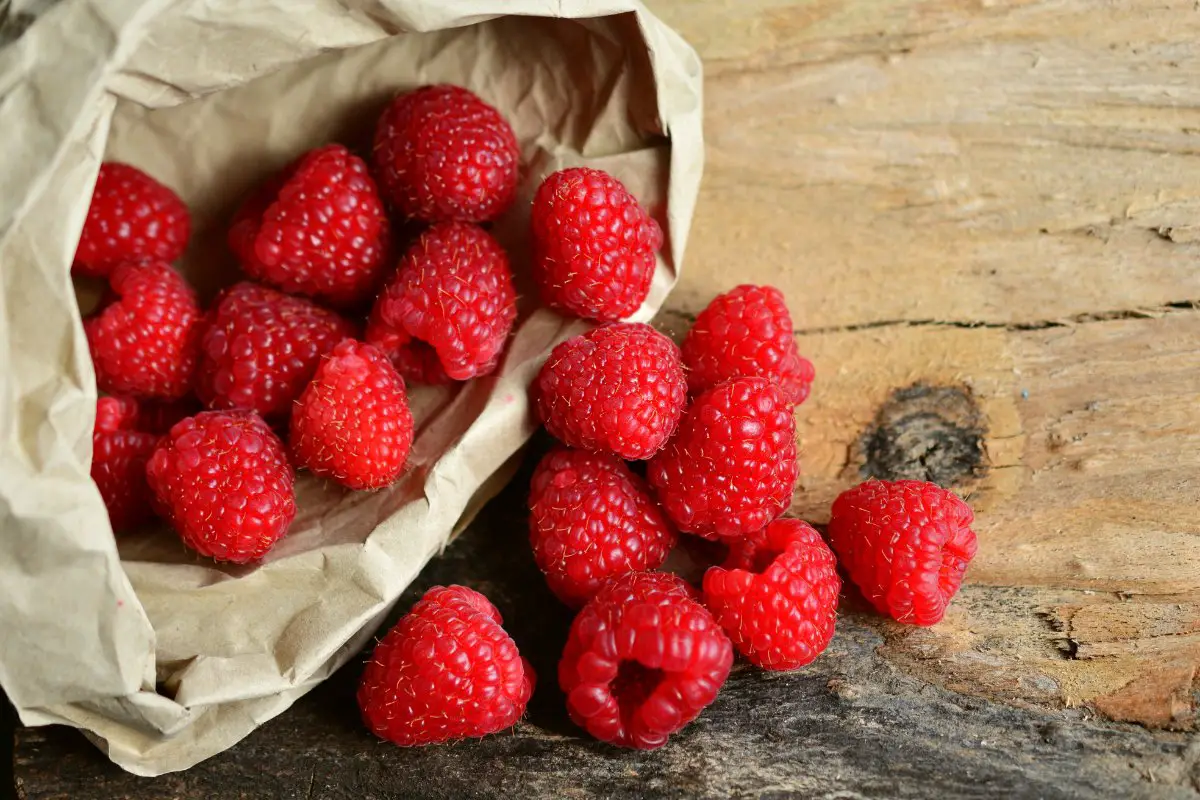 How To Tell If Raspberries Are Bad