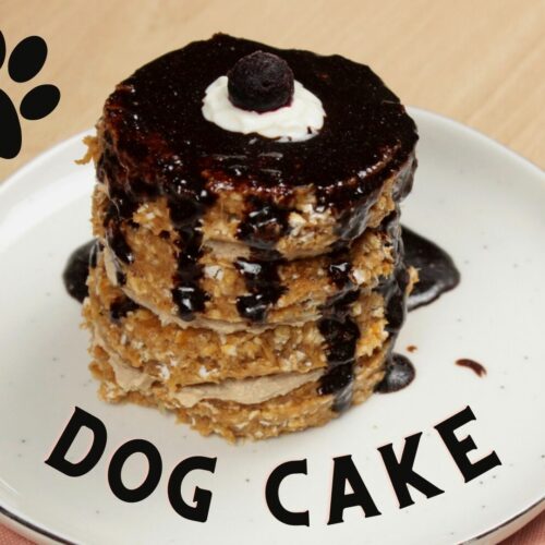 No Bake Dog Cake Recipes (Treats For Furry Friends) - Cake Decorist